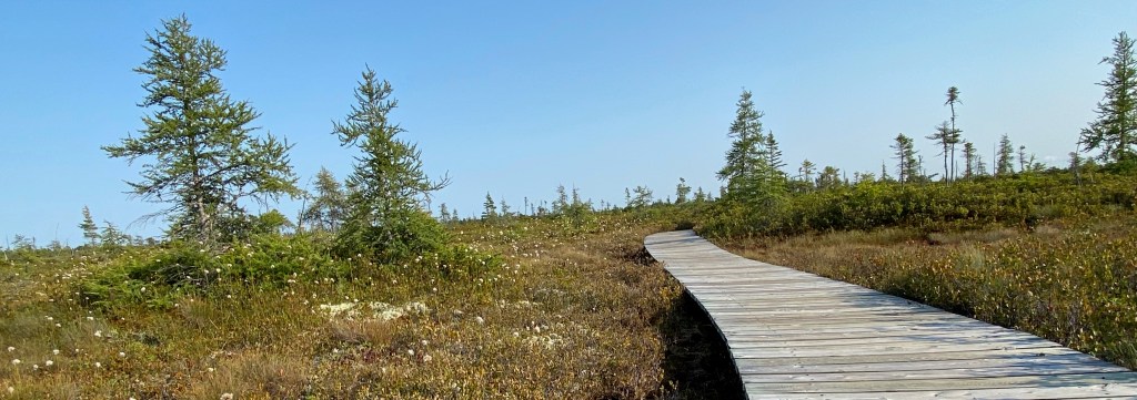 Kouchibouguac National Park Wandering Canadians